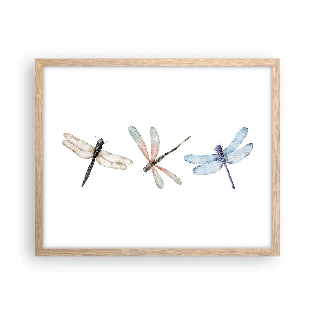 Póster en marco roble claro - Libélulas ingrávidas - 50x40 cm