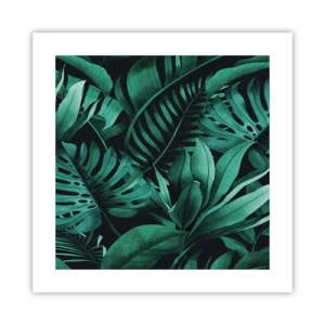 Póster - Profundidad del verde tropical - 40x40 cm