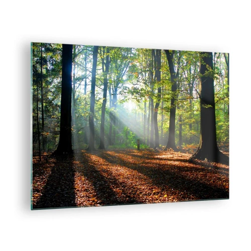 Cuadro sobre vidrio - Impresiones sobre Vidrio - Un bosque bajo los rayos del sol en un paisaje otoñal. - 70x50cm - Resplandores y sombras - Decoración de pared moderna para salón y dormitorio ARTTOR