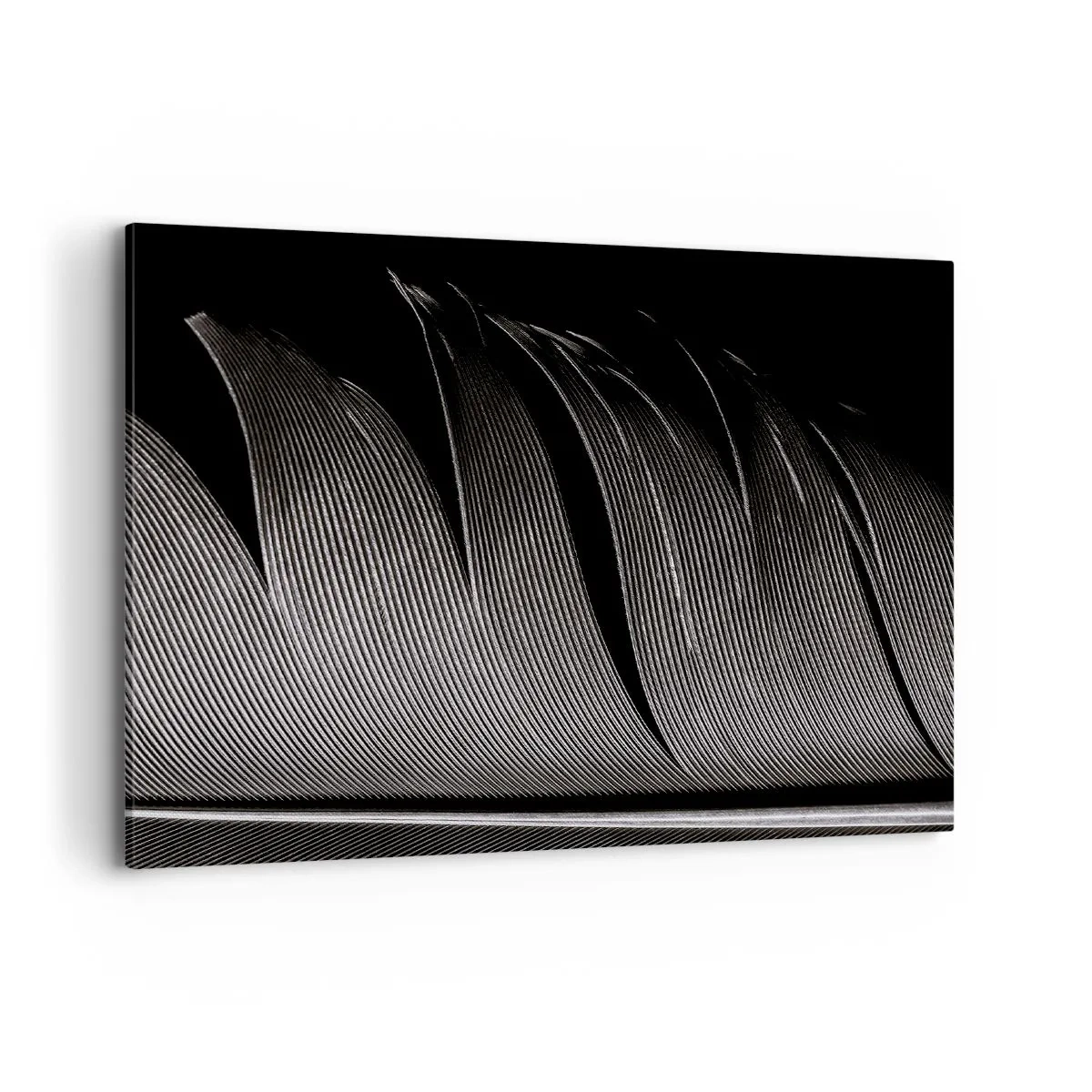 Cuadro sobre lienzo - Impresión de Imagen - Textura de plumas en blanco y negro en un estilo minimalista. - 100x70cm - Pluma - una construcción maravillosa - Decoración de pared moderna para salón y dormitorio ARTTOR