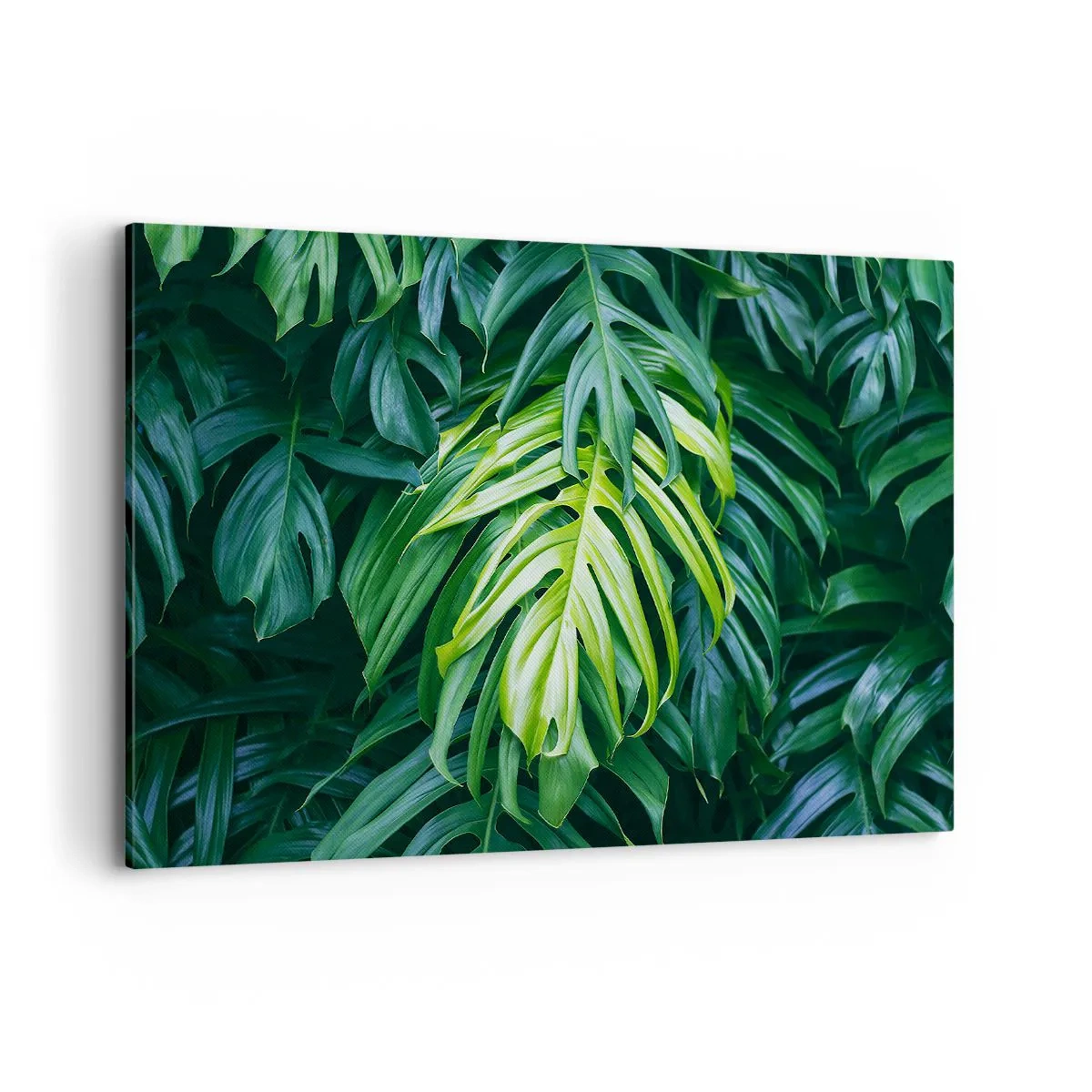Cuadro sobre lienzo - Impresión de Imagen - Hojas verdes en un denso arreglo tropical. - 120x80cm - Sumérjase en la frescura - Decoración de pared moderna para salón y dormitorio ARTTOR