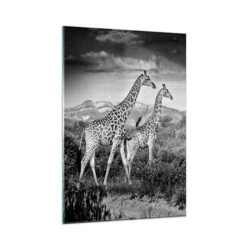 Cuadro sobre vidrio - Impresiones sobre Vidrio - Una fotografía en blanco y negro de dos jirafas en la sabana. - 50x70cm - La clase alta de África - Decoración de pared moderna para salón y dormitorio ARTTOR