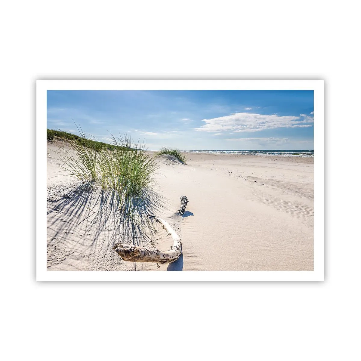 Póster - Una playa báltica con arena, césped y un cielo azul tranquilo. - 100x70cm - ¿La más bella? Báltico - Decoración de pared moderna para salón y dormitorio ARTTOR