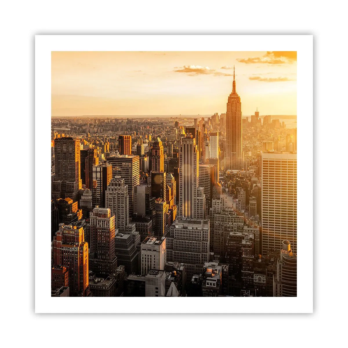 Póster - Creciendo al sol - 60x60 cm