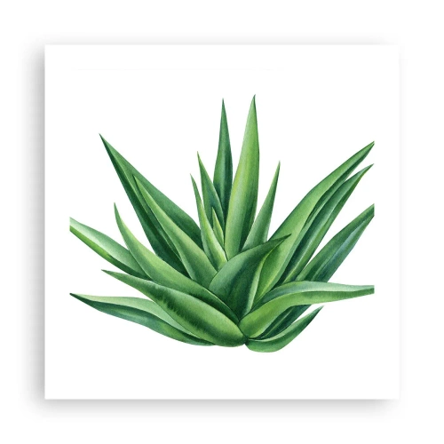 Póster - Verde - fuerza - vida - 50x50 cm