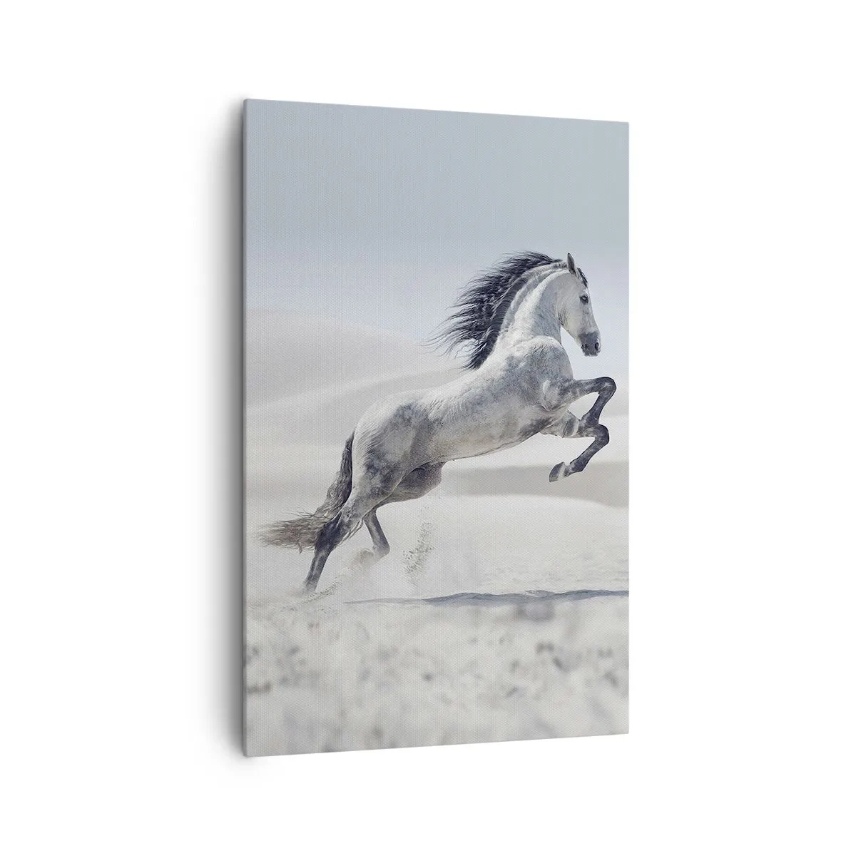 Cuadro sobre lienzo - Impresión de Imagen - Un caballo blanco galopando con las dunas del desierto como telón de fondo. - 80x120cm - Un príncipe árabe - Decoración de pared moderna para salón y dormitorio ARTTOR