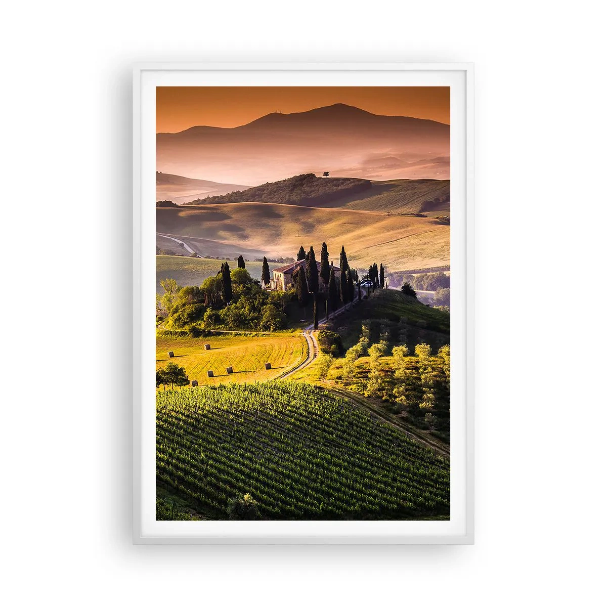 Póster en marco blanco - Paisaje toscano - 70x100 cm