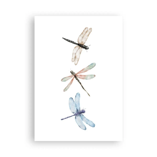 Póster - Libélulas ingrávidas - 70x100 cm
