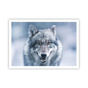 Póster - Un lobo con una mirada intensa en un paisaje invernal. - 100x70cm - ¿Aceptarás el reto? - Decoración de pared moderna para salón y dormitorio ARTTOR