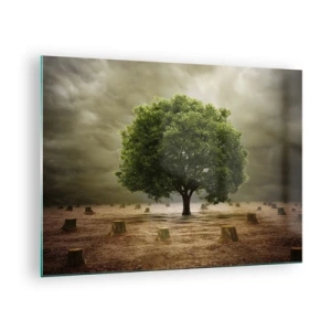 Cuadro sobre vidrio - Impresiones sobre Vidrio - Un árbol verde rodeado de troncos contra un cielo sombrío. - 70x50cm - La esperanza - Decoración de pared moderna para salón y dormitorio ARTTOR