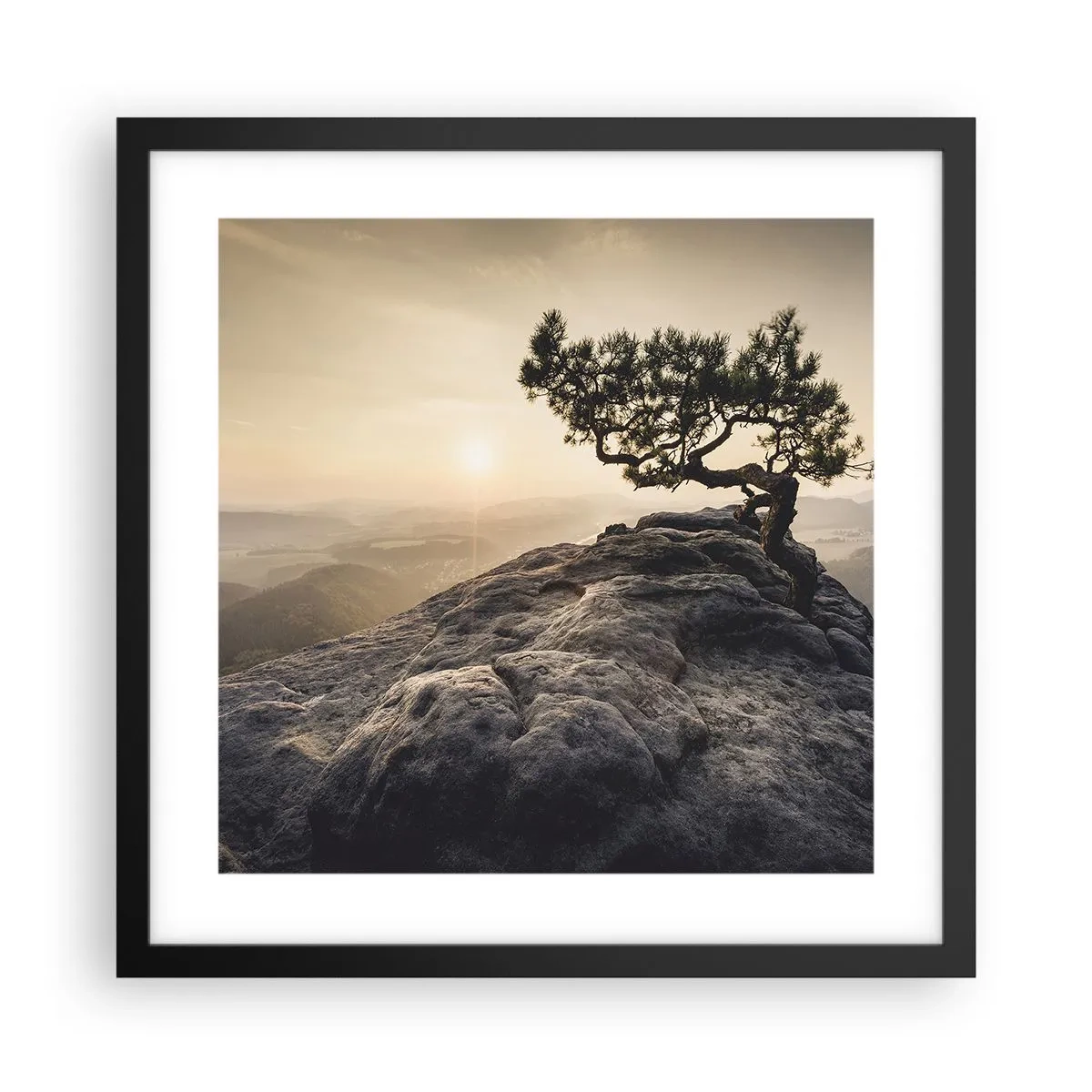 Póster en marco negro - La vida se abre camino - 40x40 cm