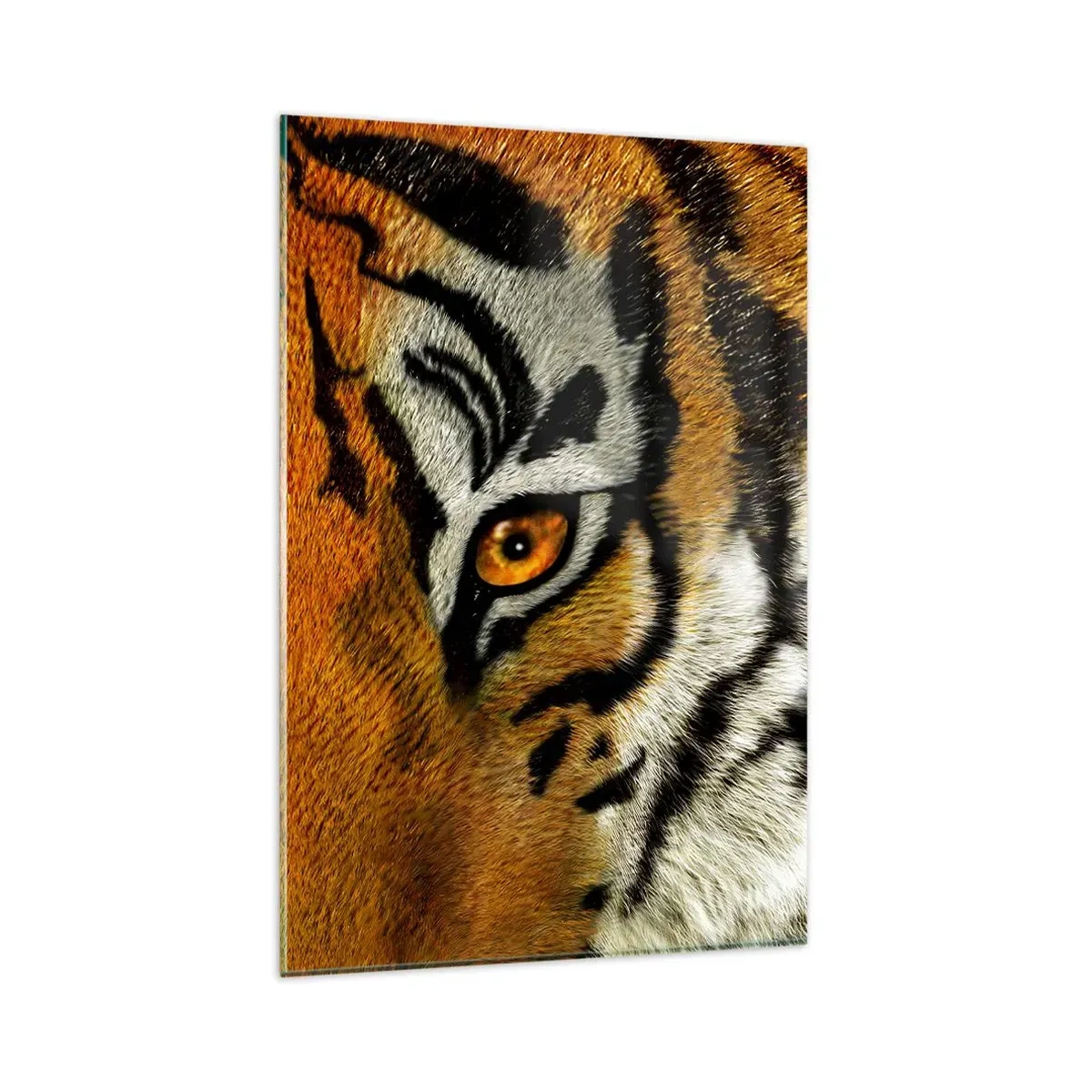 Cuadro sobre vidrio - Impresiones sobre Vidrio - Retrato en primer plano de un tigre con una mirada intensa. - 80x120cm - Amenazante y hermoso - Decoración de pared moderna para salón y dormitorio ARTTOR