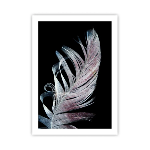 Póster - Una pluma en delicados tonos rosa y azul sobre un fondo negro. - 50x70cm - Piensa en el tacto - Decoración de pared moderna para salón y dormitorio ARTTOR