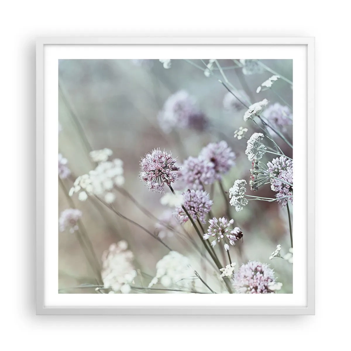 Póster en marco blanco - Dulces filigranas de hierbas - 60x60 cm