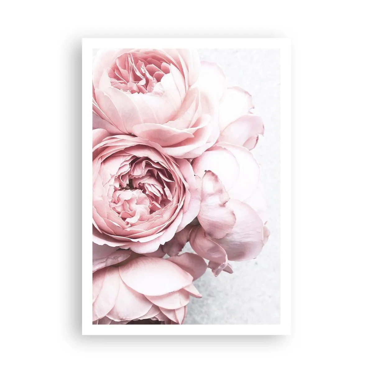 Póster - Para los románticos - 70x100 cm