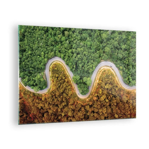 Cuadro sobre vidrio - Impresiones sobre Vidrio - Un camino sinuoso a través de un denso bosque visto a vista de pájaro. - 70x50cm - Frontera serpenteante - Decoración de pared moderna para salón y dormitorio ARTTOR