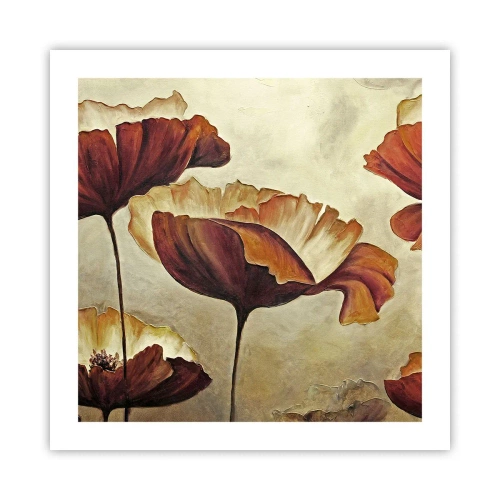 Póster - Prado de prados - 50x50 cm