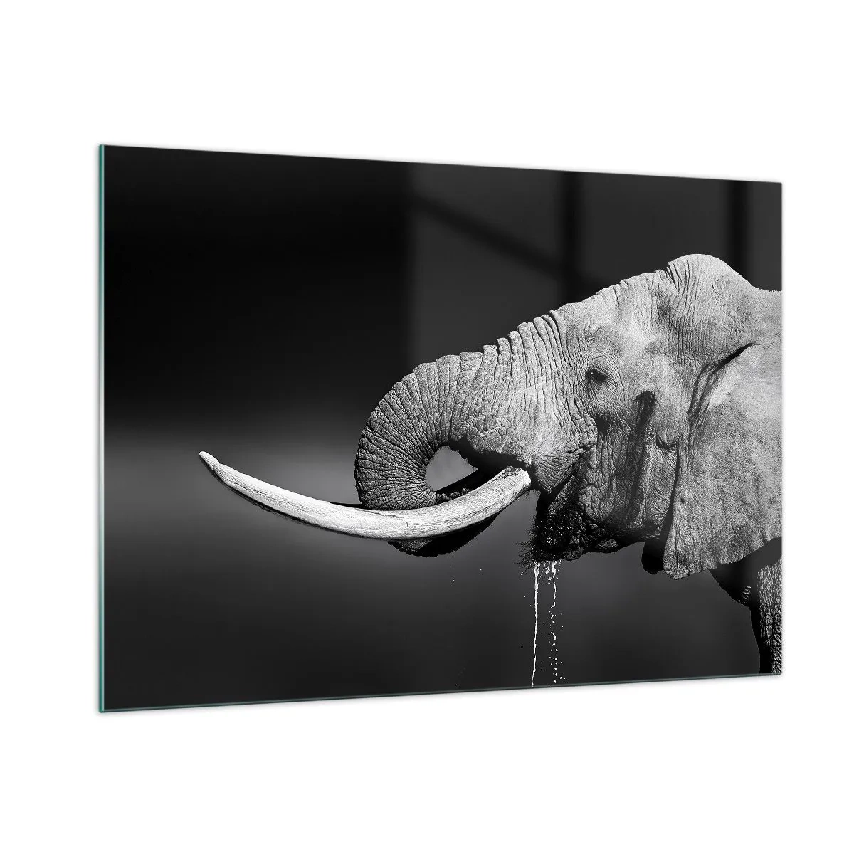 Cuadro sobre vidrio - Impresiones sobre Vidrio - Retrato en blanco y negro de un elefante con trompa. - 100x70cm - Majestuoso - Decoración de pared moderna para salón y dormitorio ARTTOR