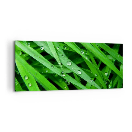 Cuadro sobre lienzo - Impresión de Imagen - Primer plano de hojas verdes de hierba con gotas de rocío - 120x50cm - Jugar al verde - Decoración de pared moderna para salón y dormitorio ARTTOR
