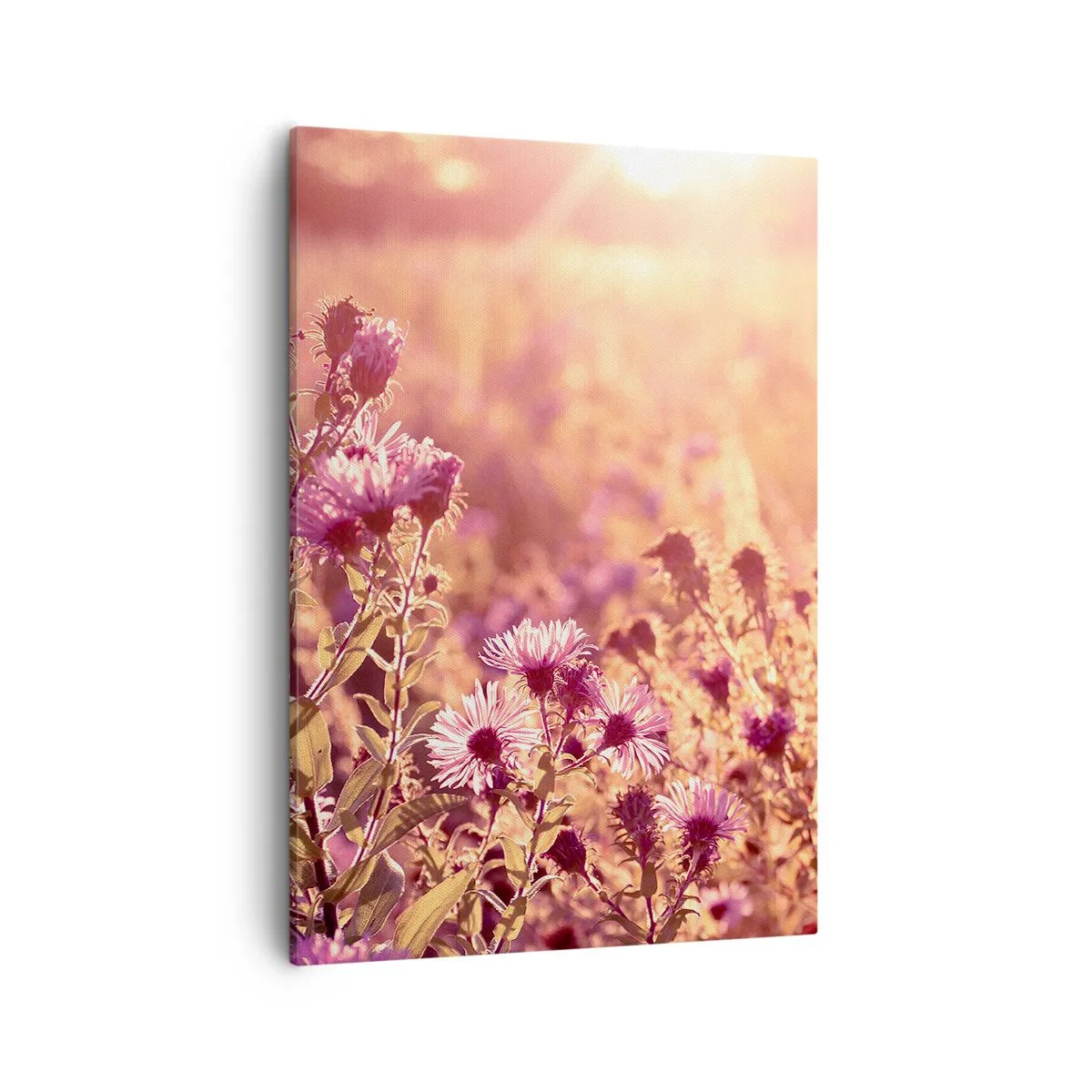 Cuadro sobre lienzo - Impresión de Imagen - Pradera a la luz del sol poniente - 50x70cm - Antes de que se acabe el verano - Decoración de pared moderna para salón y dormitorio ARTTOR