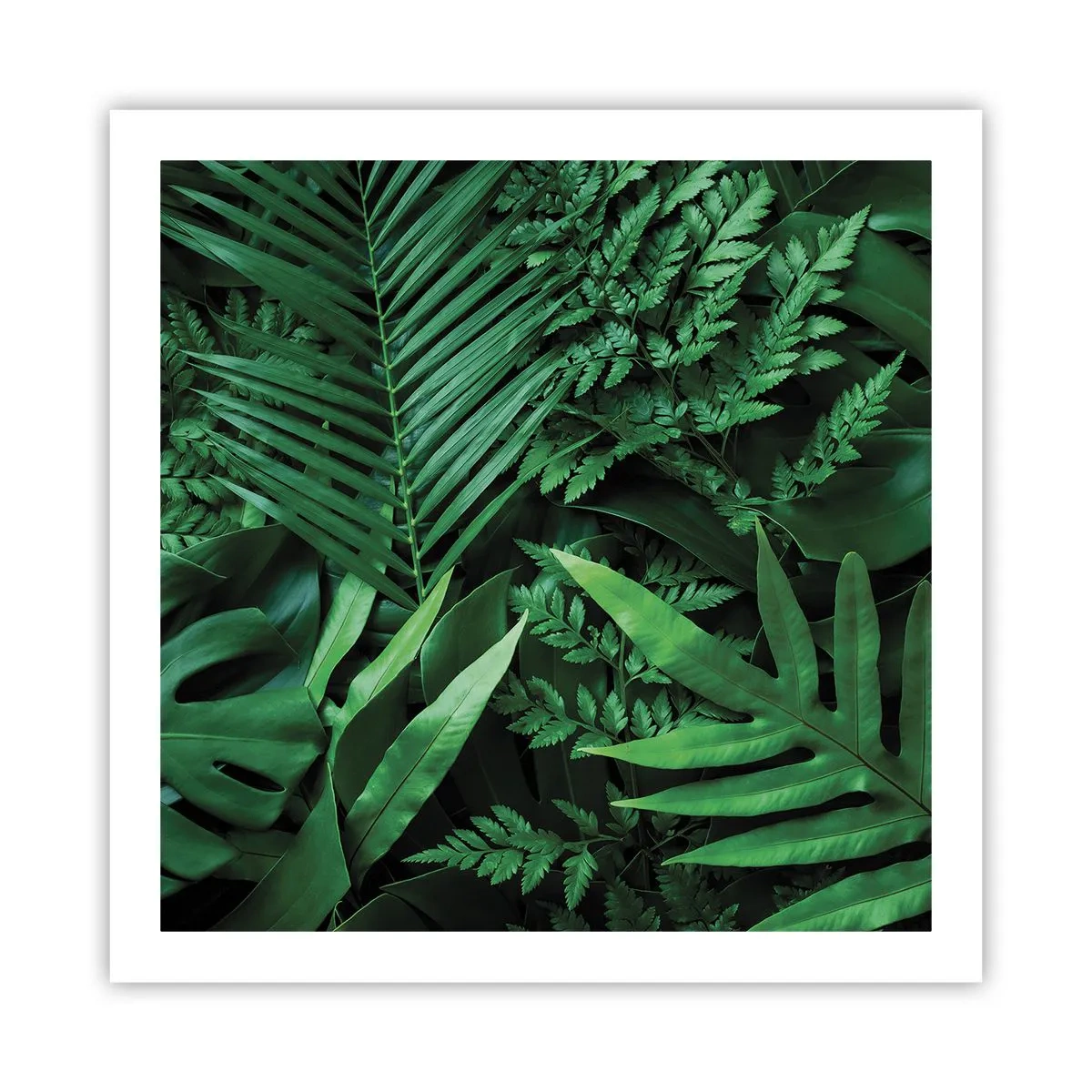 Póster - Abrazo verde - 60x60 cm