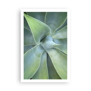 Póster - El nacimiento del verde - 61x91 cm