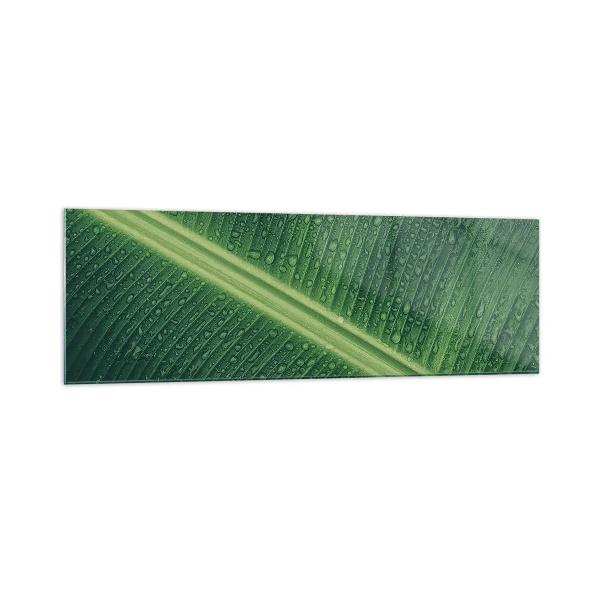 Cuadro sobre vidrio - Impresiones sobre Vidrio - Una hoja verde con gotas de agua en su superficie. - 160x50cm - Estructura del verde - Decoración de pared moderna para salón y dormitorio ARTTOR