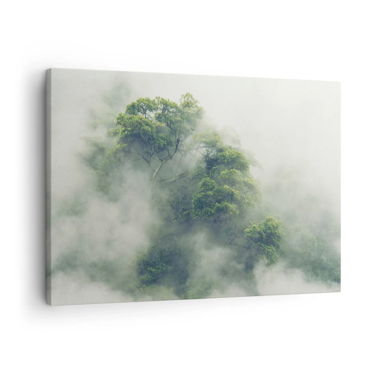 Cuadro sobre lienzo - Impresión de Imagen - Árboles verdes en una espesa niebla contra un fondo natural - 70x50cm - Envuelto en niebla - Decoración de pared moderna para salón y dormitorio ARTTOR
