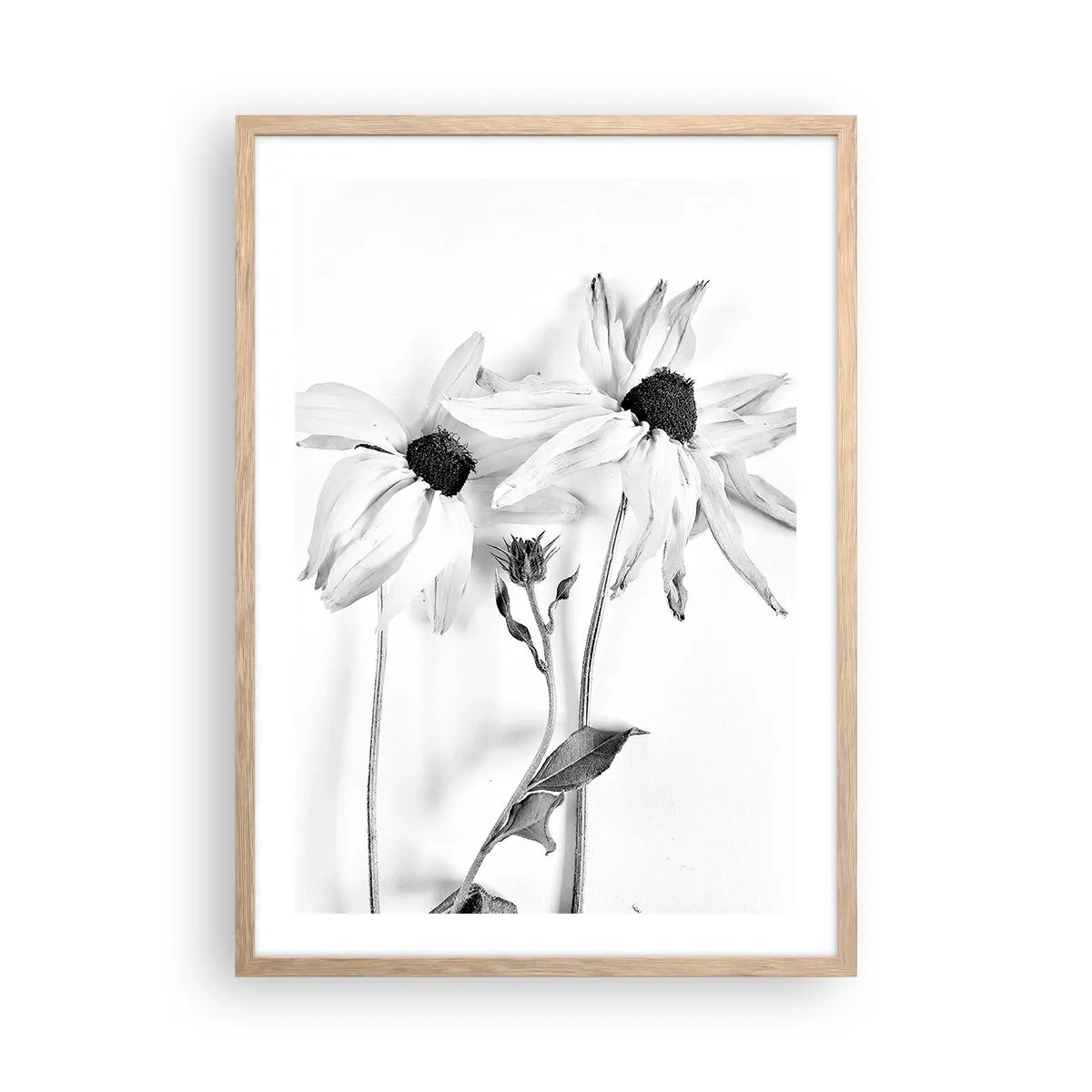 Póster en marco roble claro - Nadie quiere estar solo - 50x70 cm