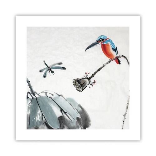 Póster - La vida de la pradera - 40x40 cm