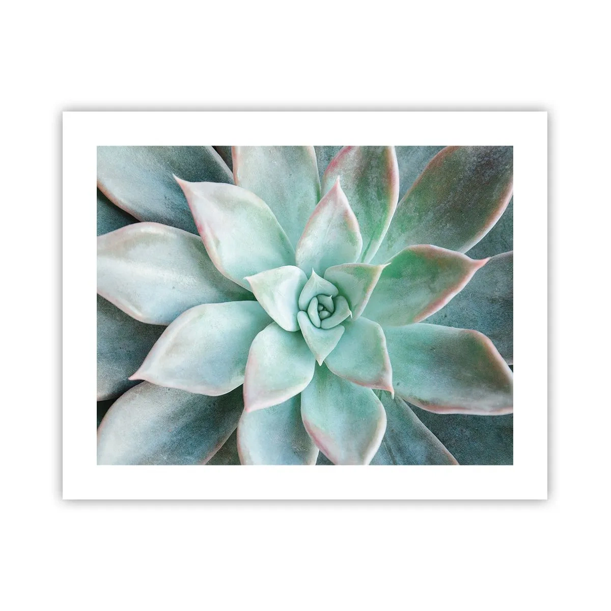 Póster - El corazón del desierto - 50x40 cm