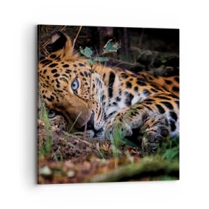 Cuadro sobre lienzo - Impresión de Imagen - Confía en mí - 70x70 cm