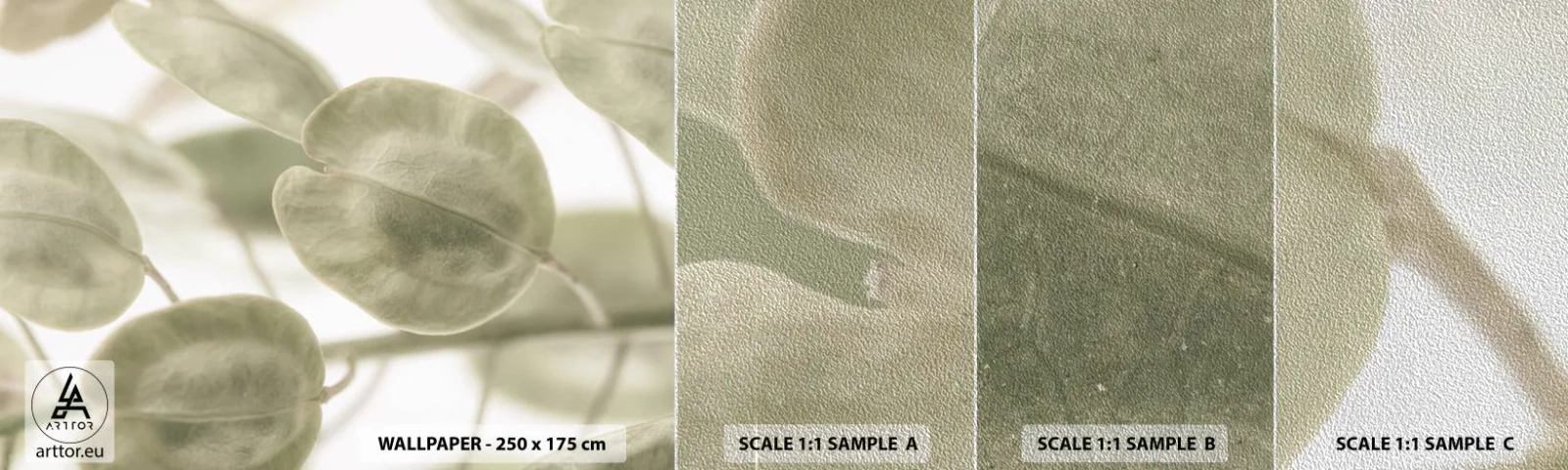 Muestra de fotomural Premium Sand - Al principio de los tiempos había hojas... - flores, Calma, Hojas - 100x30 cm