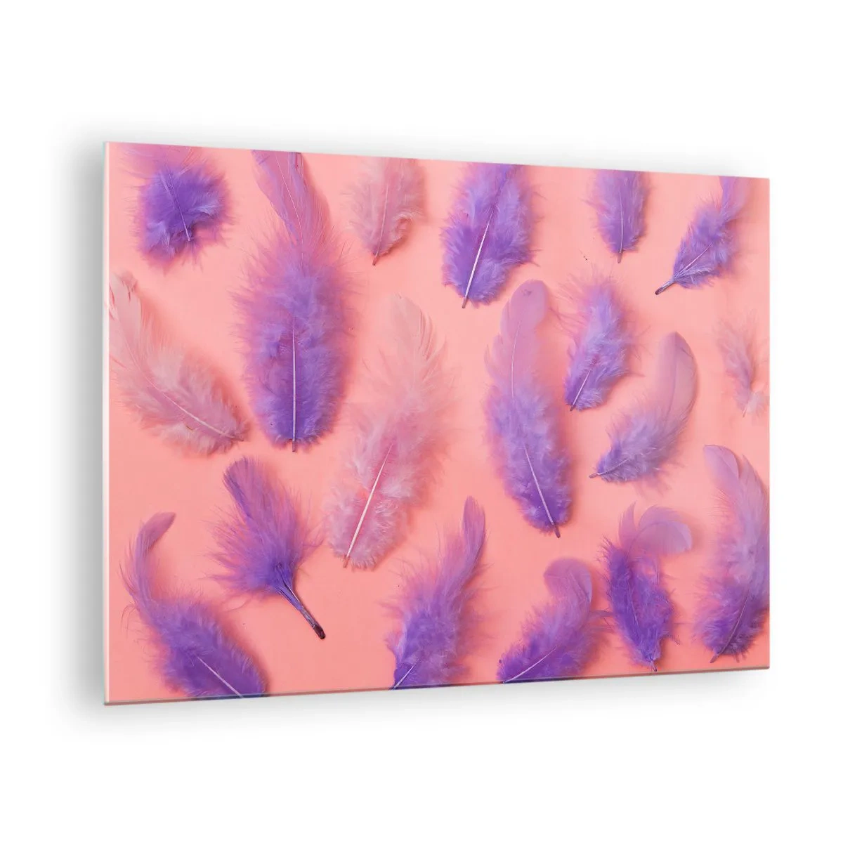 Cuadro sobre vidrio - Impresiones sobre Vidrio - Plumas moradas sobre un fondo rosa en una delicada composición. - 70x50cm - Un pájaro lila del deseo - Decoración de pared moderna para salón y dormitorio ARTTOR