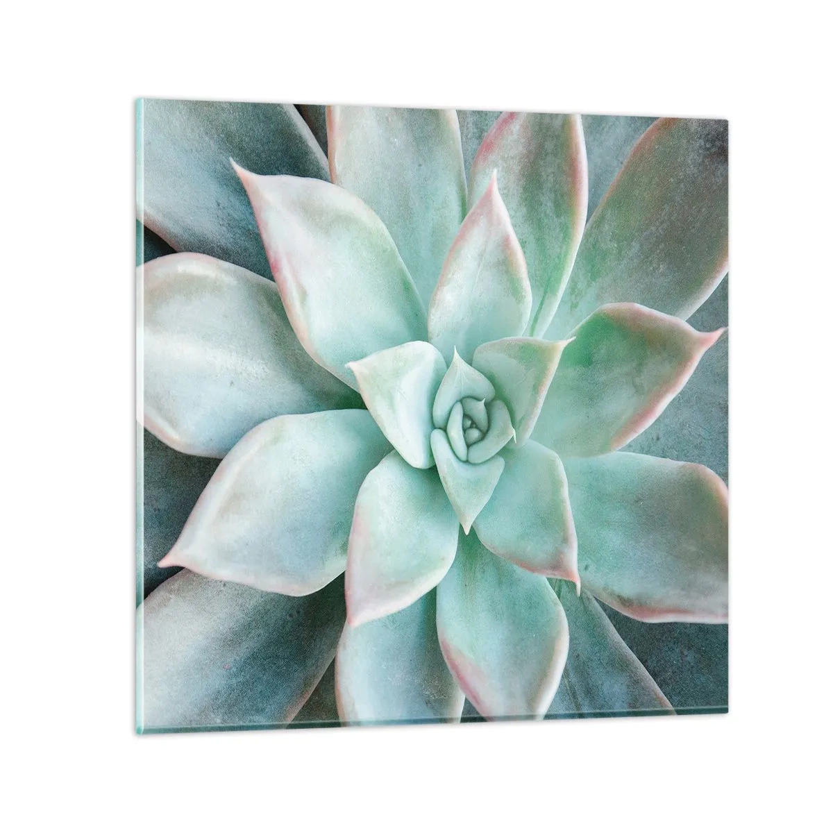 Cuadro sobre vidrio - Impresiones sobre Vidrio - El corazón del desierto - 60x60 cm