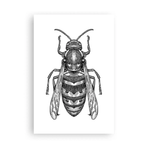 Póster - Desde un planeta de insectos - 61x91 cm