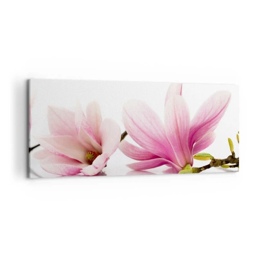 Cuadro sobre lienzo - Impresión de Imagen - Delicadas magnolias rosas sobre un fondo blanco. - 120x50cm - Suave como un soplo de primavera - Decoración de pared moderna para salón y dormitorio ARTTOR