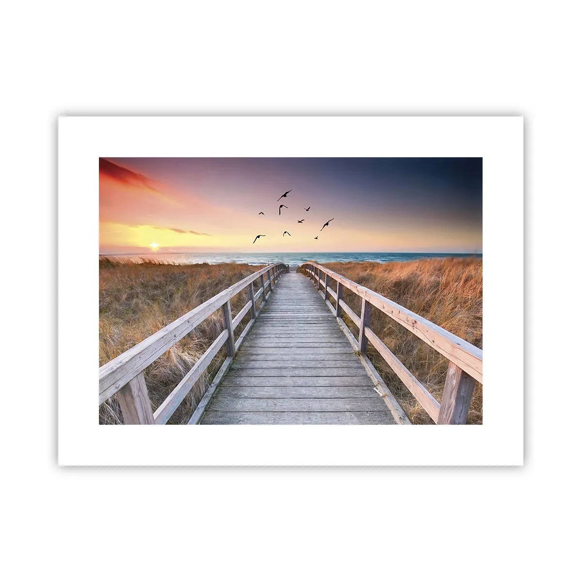 Póster - Camino a lo desconocido - 40x30 cm