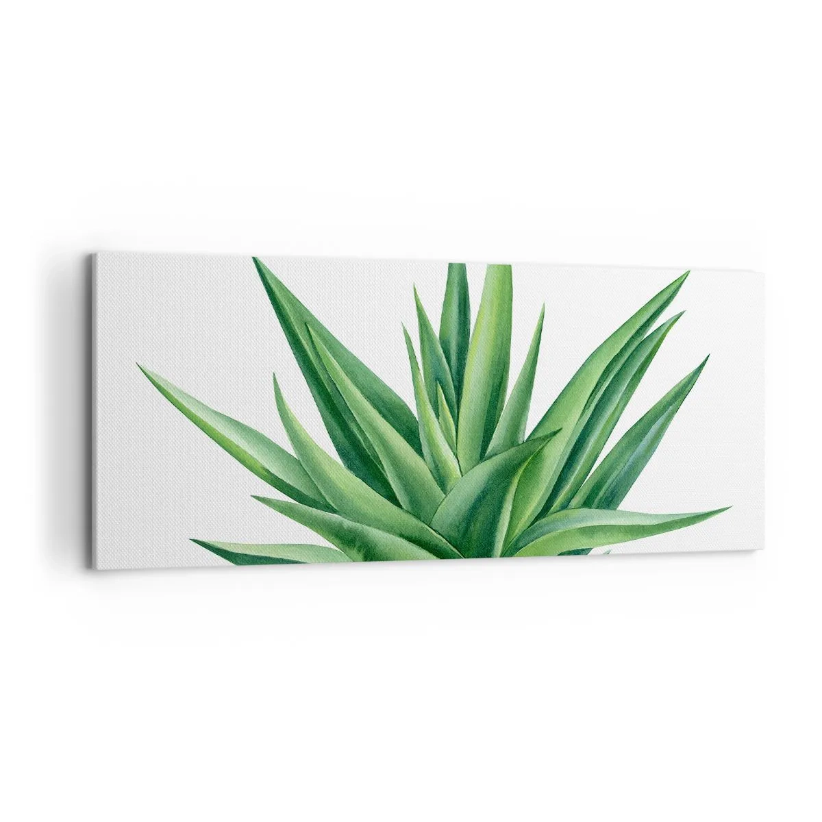 Cuadro sobre lienzo - Impresión de Imagen - Verde - fuerza - vida - 100x40 cm