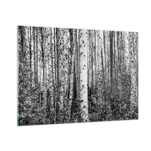 Cuadro sobre vidrio - Impresiones sobre Vidrio - Los abedules blancos y negros crean un denso paisaje forestal. - 100x70cm - Columnas de abedules - Decoración de pared moderna para salón y dormitorio ARTTOR