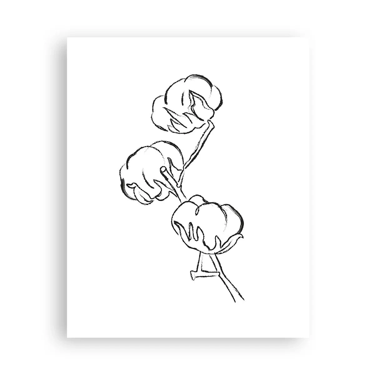 Póster - Plumón de algodón - 40x50 cm