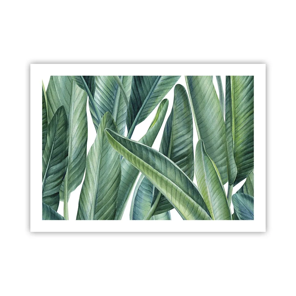 Póster - Vegetación en estado puro - 70x50 cm
