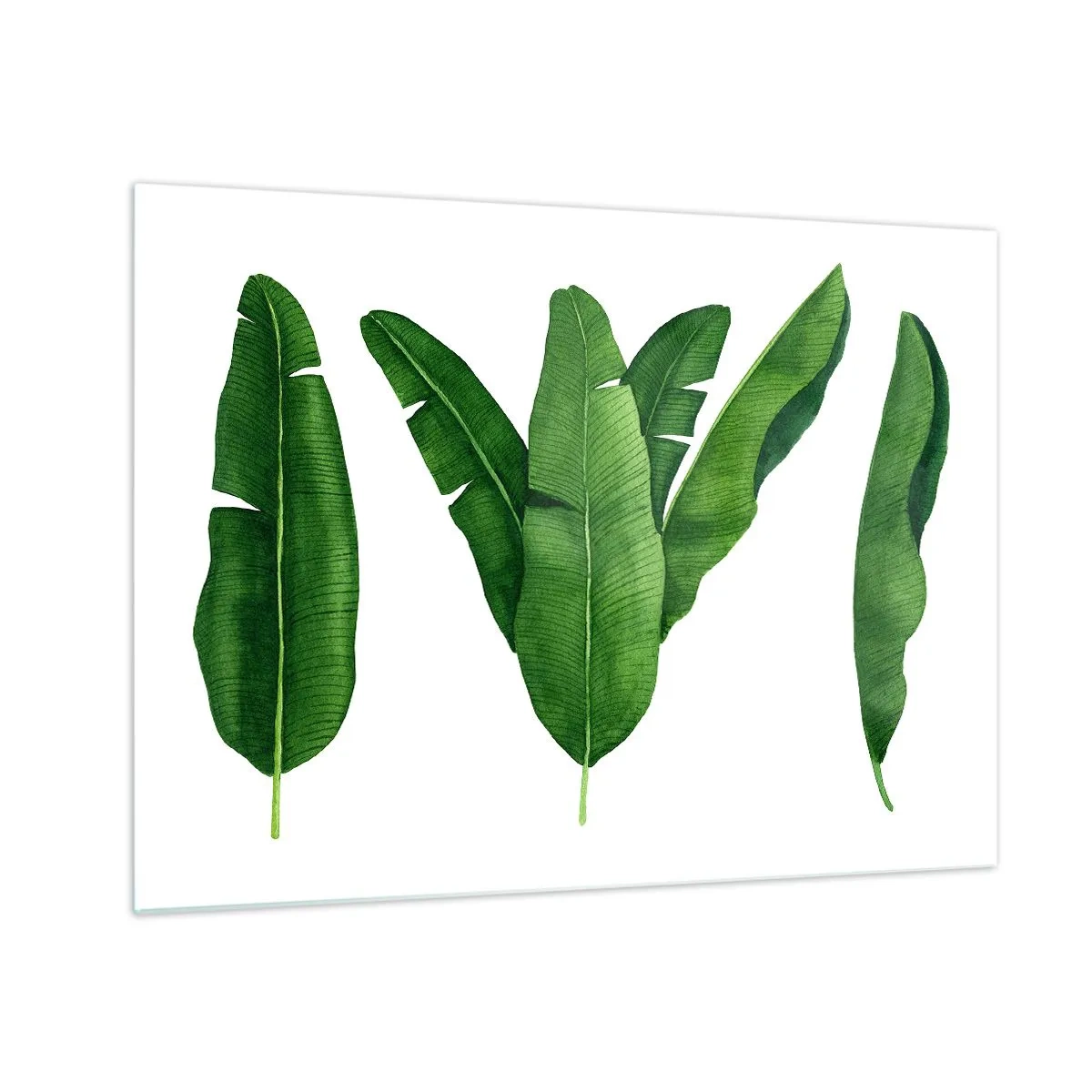 Cuadro sobre vidrio - Impresiones sobre Vidrio - Cuatro hojas de plátano verdes sobre un fondo blanco. - 70x50cm - Simetría verde - Decoración de pared moderna para salón y dormitorio ARTTOR