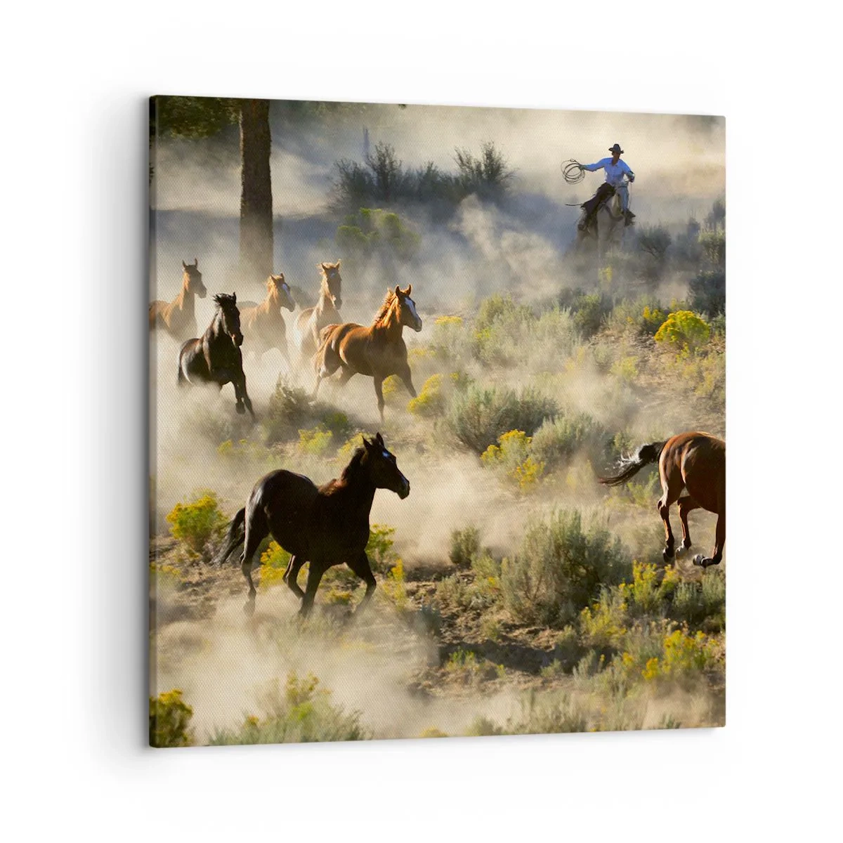 Cuadro sobre lienzo - Impresión de Imagen - Rivalidad: ¿libertad o fuerza? - 50x50 cm