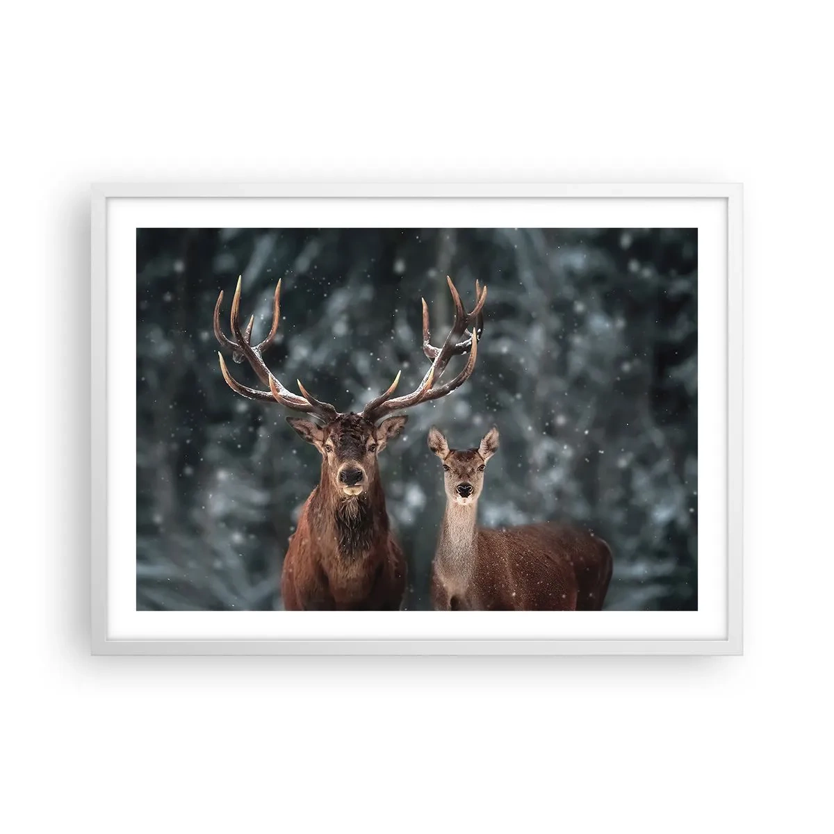 Póster en marco blanco - El señor y la señora del bosque - 70x50 cm