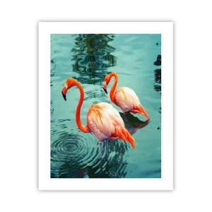 Póster - Estamos de moda - 40x50 cm