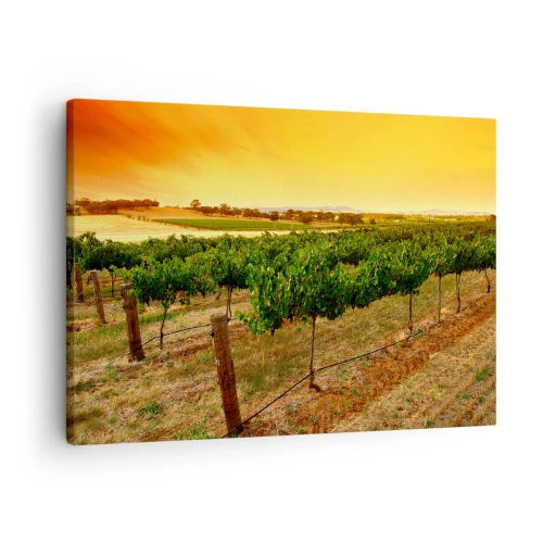 Cuadro sobre lienzo - Impresión de Imagen - Vides en una plantación al atardecer dorado - 70x50cm - Un trago del sol - Decoración de pared moderna para salón y dormitorio ARTTOR