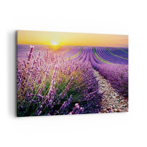 Cuadro sobre lienzo - Impresión de Imagen - Campo de lavanda al atardecer - 100x70cm - Pradera fragante - Decoración de pared moderna para salón y dormitorio ARTTOR