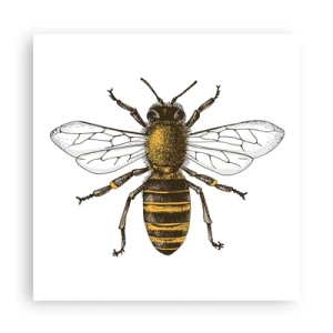 Póster - Bondad natural - 60x60 cm