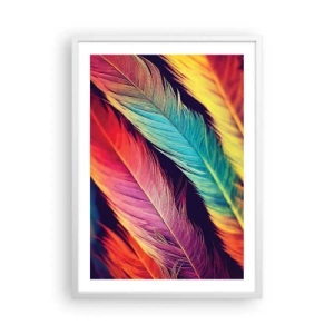 Póster en marco blanco - Arco iris plumoso - 50x70 cm